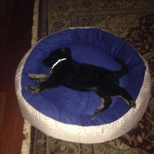 Meet your Posher, Jackson